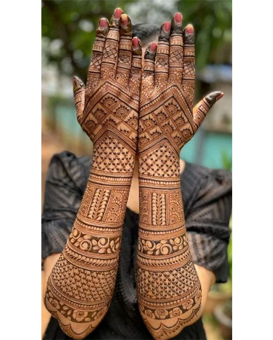 Crescent And Bloom Charming Modern Full Hand Mehndi Design Symmetry